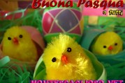 BUONA PASQUA