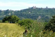 Conoscere Pianelle. Visita e trekking