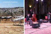 La transumanza in Basilicata