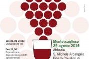 In Vino Veritas 2016